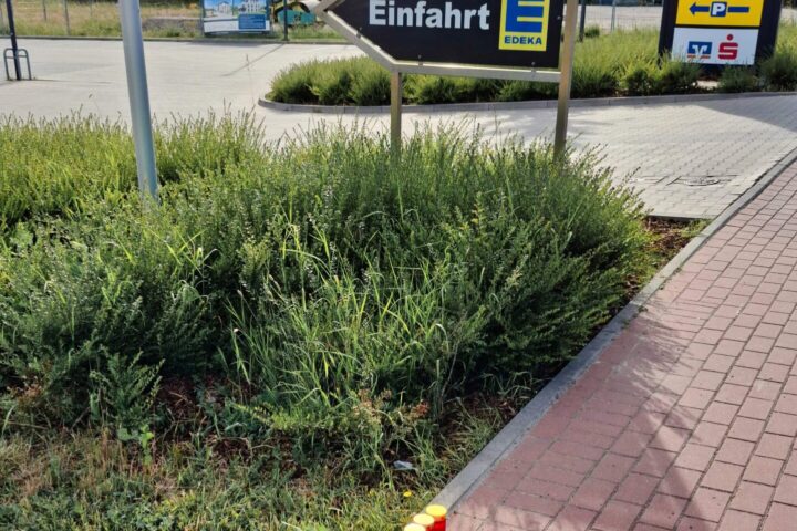 Es ereignete sich ein tödlicher Verkehrsunfall auf der Wechter Straße in Tecklenburg-Brochterbeck. Nun ist durch die Polizei bekannt, wie es dazu kommen konnte.