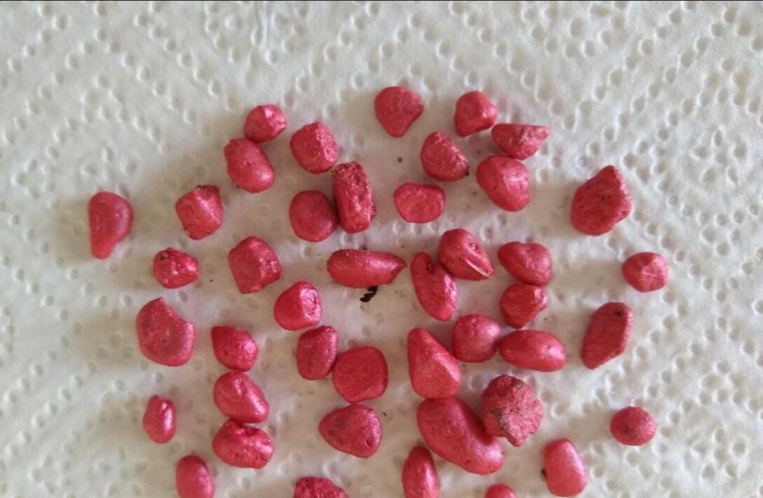 Am Mühlenteich in Brochterbeck wurden Giftköder ausgelegt. Diese können für Kinder und Hunde tödlich sein. Die Stadt Tecklenburg warnt die Bürger. Symbolbild