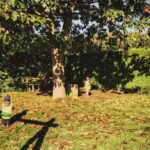 Leeden – Spielplatz Pattbreede ist erneuert