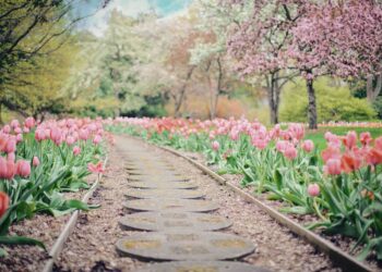 Tecklenburg macht bei Wettbewerb mit