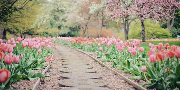 Tecklenburg macht bei Wettbewerb mit
