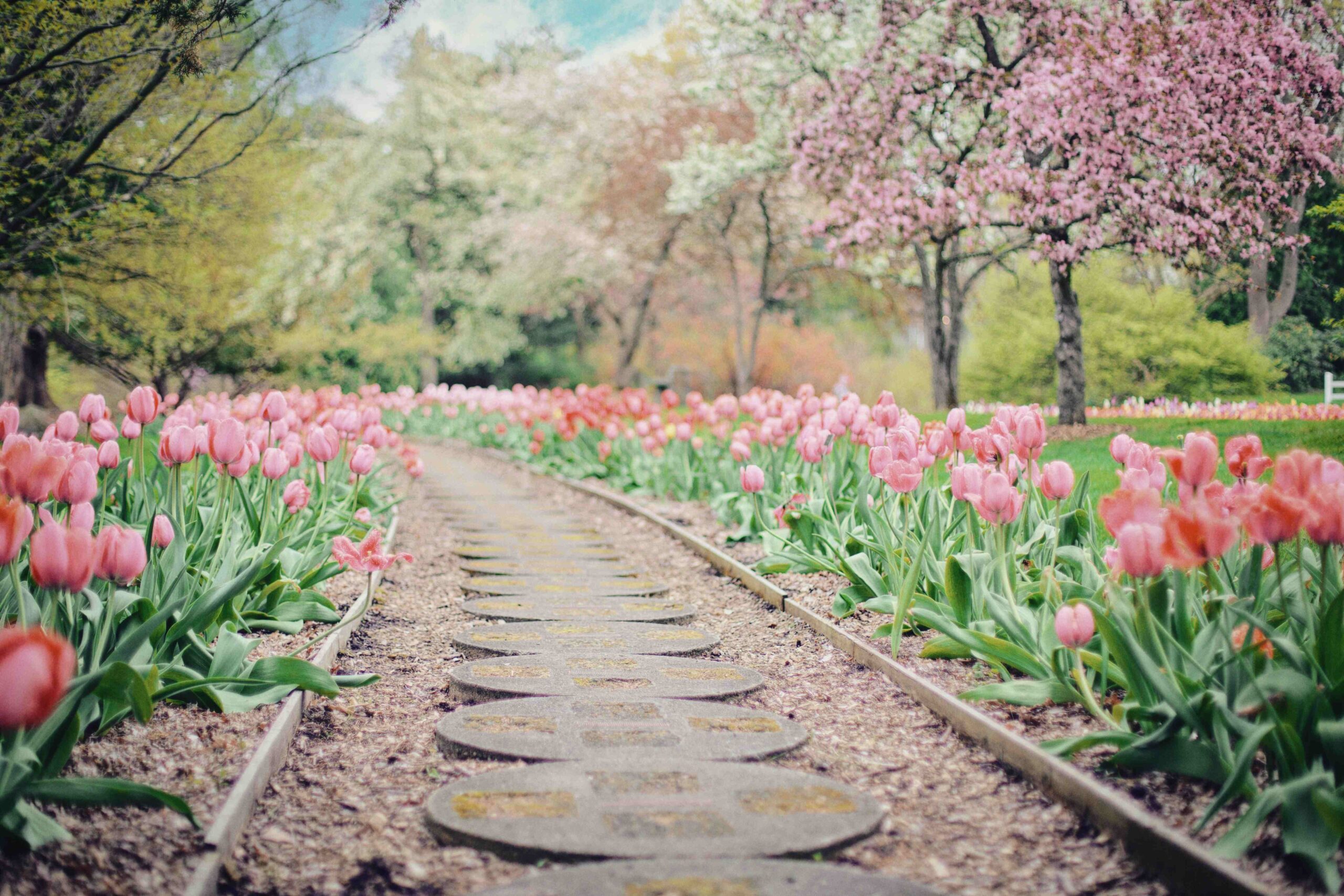 Tecklenburg macht bei Wettbewerb mit