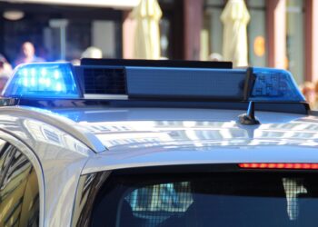 Nach Angriff auf Tecklenburger: Polizei sucht Hundehalter